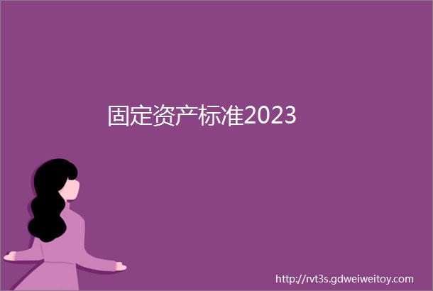 固定资产标准2023